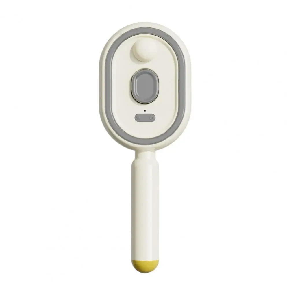 Misting Anti-Static Hair Brush
